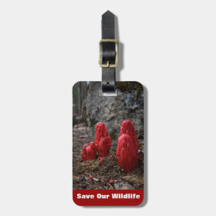 Snow Blossoms Luggage Tag