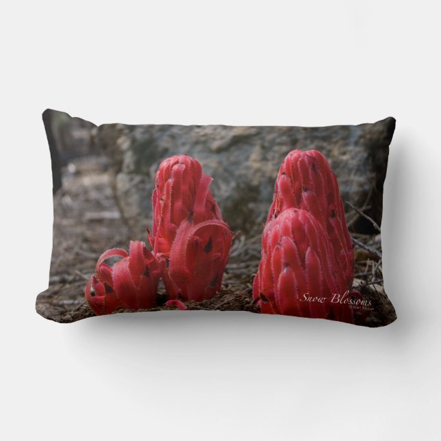 Snow Blossoms Lumbar Cushion (Front)