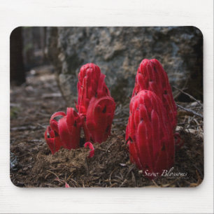 Snow Blossoms Mouse Mat