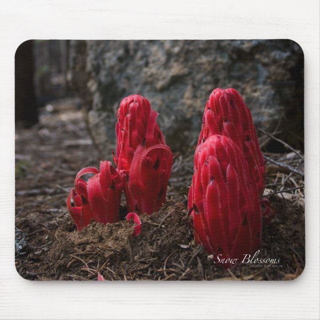 Snow Blossoms Mouse Mat (Front)