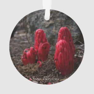 Snow Blossoms Ornament