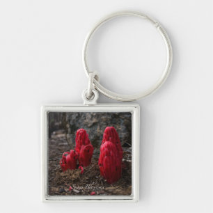 Snow Blossoms Photo Key Ring