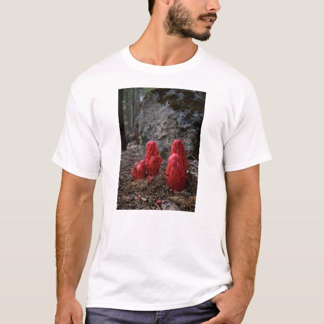 Snow Blossoms T-Shirt (Front)