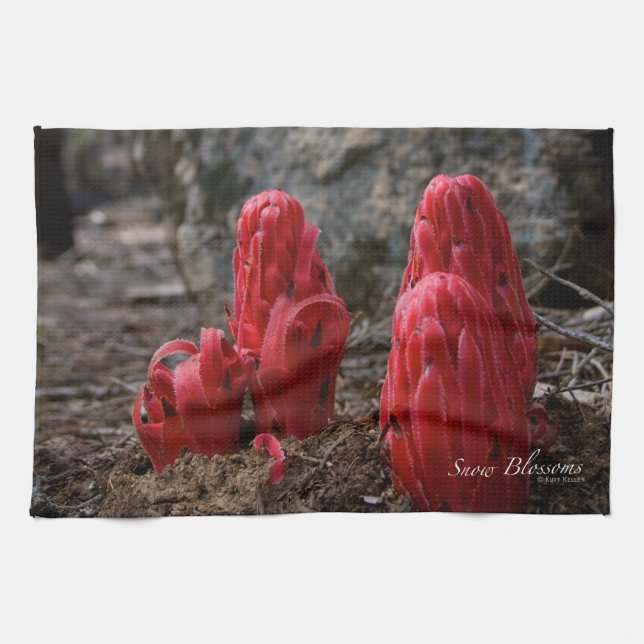 Snow Blossoms Tea Towel (Horizontal)