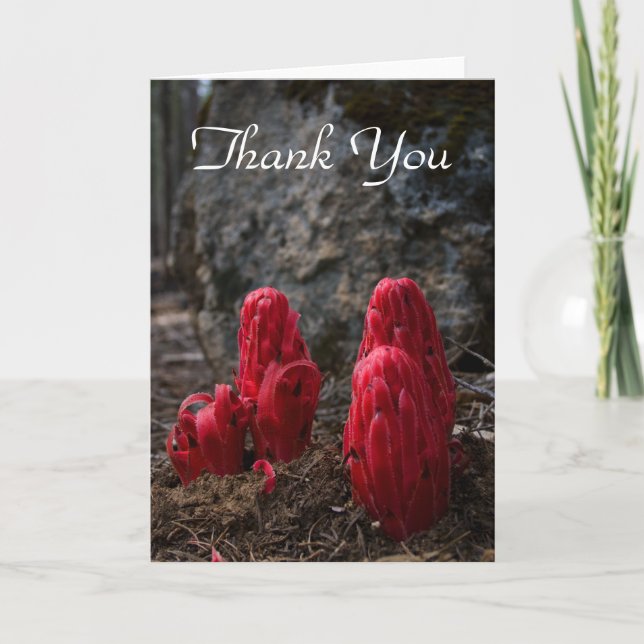 Snow Blossoms Thank You Card (Front)