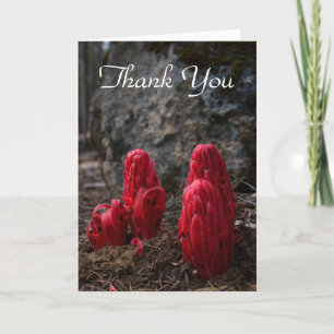 Snow Blossoms Thank You Card