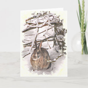 Snow Bunny Birthday Card