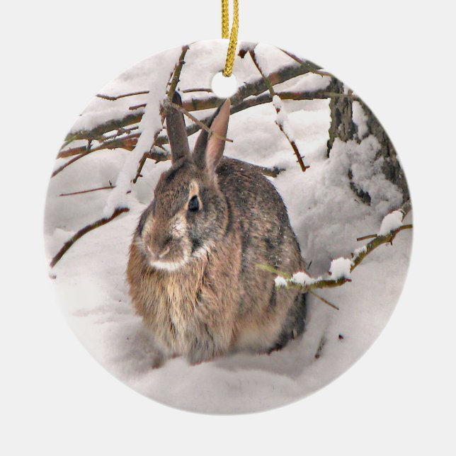 Snow Bunny Christmas Ornament (Front)
