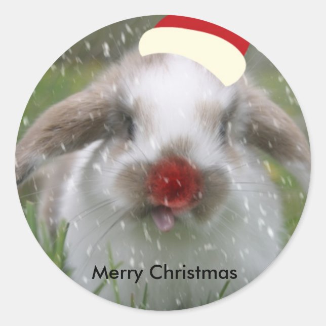 snow bunny, Merry Christmas Classic Round Sticker (Front)