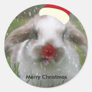 snow bunny, Merry Christmas Classic Round Sticker