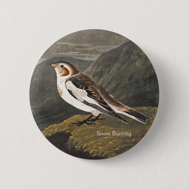 Snow Bunting by John James Audubon, Birders Bird 6 Cm Round Badge (Front)