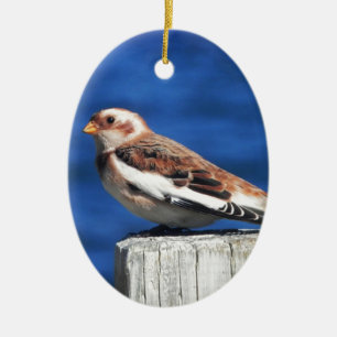 Snow Bunting Ceramic Tree Decoration