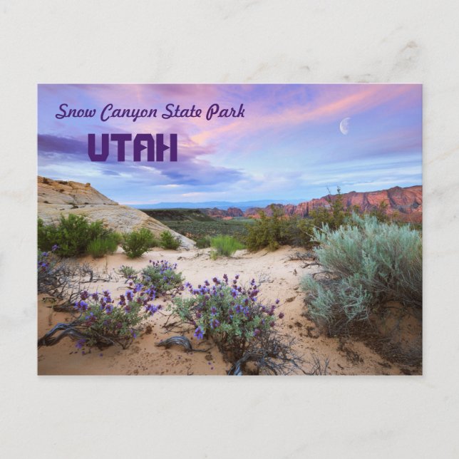 Snow Canyon State Park Utah Postcard (Front)