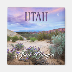 Snow Canyon Utah Magnet