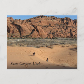 Snow Canyon, Utah Postcard