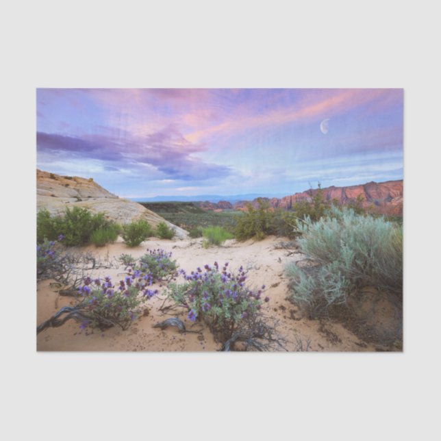 Snow Canyon Wildflowers in Utah Tissue Paper (Front)