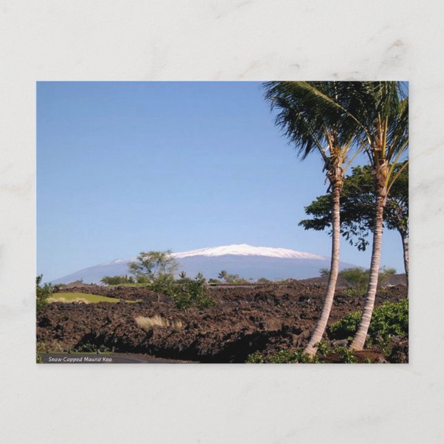 Snow-Capped Mauna Kea Postcard (Front)