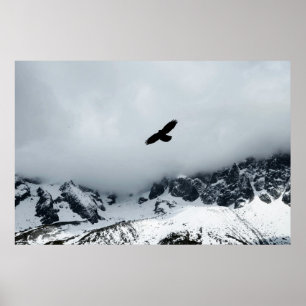 Snow Capped Mountain Bird Posted Poster