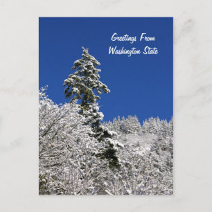 Snow Capped Mountain Greetings From Washington Postcard