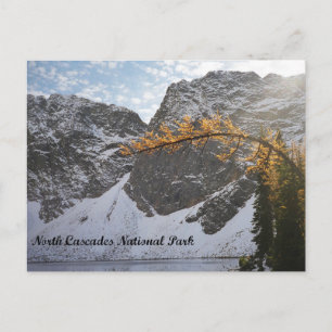 Snow Capped Mountain Lake in North Cascades Postcard