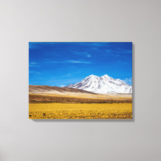 Snow - Capped Mountains And Puna Grassland Canvas Print