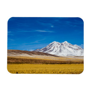 Snow - Capped Mountains And Puna Grassland Magnet