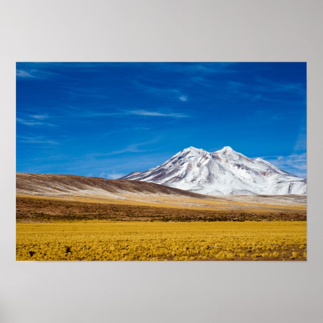 Snow - Capped Mountains And Puna Grassland Poster (Front)