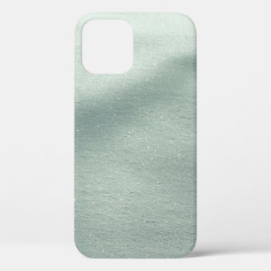 Snow iPhone 12 Case