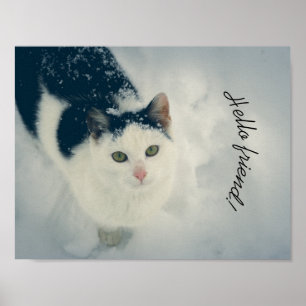 Snow cat poster