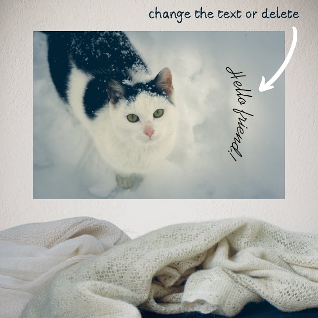 Snow cat poster (Creator Uploaded)