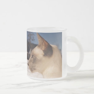 Snow Cat - Siamese Blue Point Profile Frosted Glass Coffee Mug