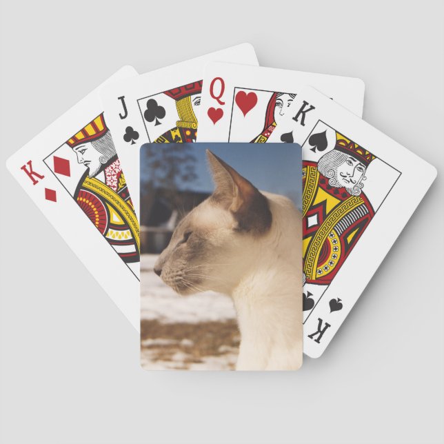 Snow Cat - Siamese Blue Point Profile Playing Cards (Back)