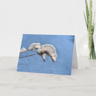 Snow Caterpillars Holiday Card