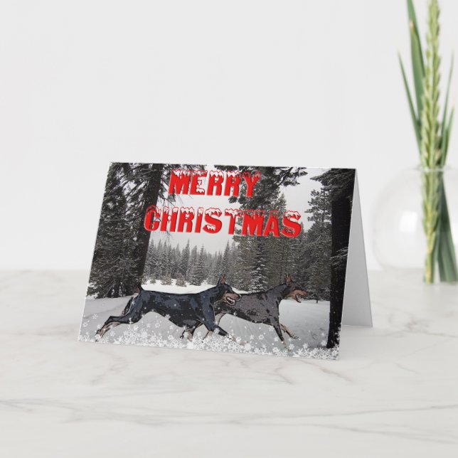 Snow Christmas Dobermans Holiday Card (Front)