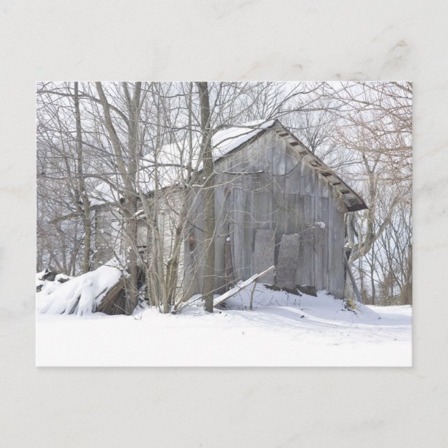 Snow Cover Postcard (Front)