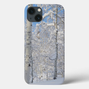 Snow-Covered Aspens, Beartrap-Desolation Ridge iPhone 13 Case