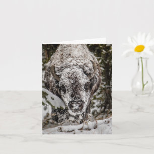 Snow Covered Bison Grand Teton Card