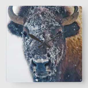 Snow-Covered Bison Wall Clock