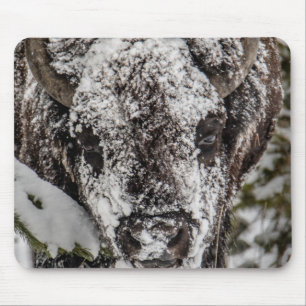 Snow-Covered Bison Yellowstone Mouse Mat