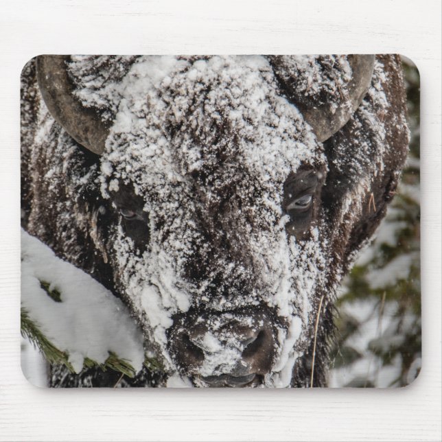 Snow-Covered Bison Yellowstone Mouse Mat (Front)