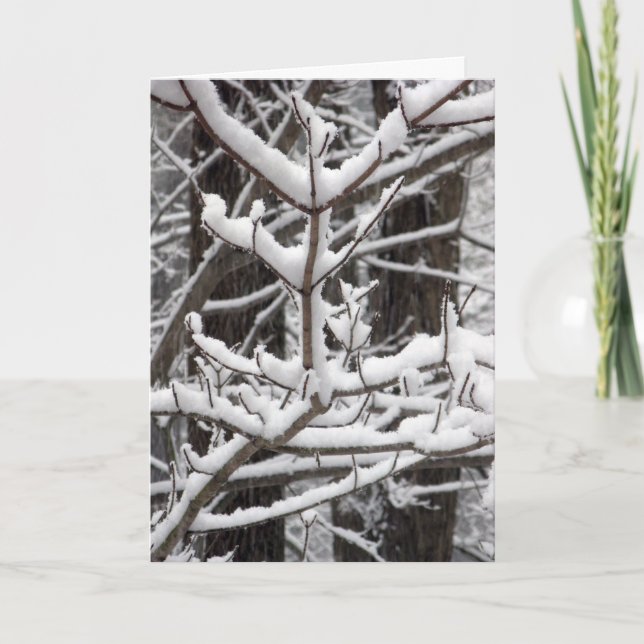 Snow-covered Branches Card (Front)