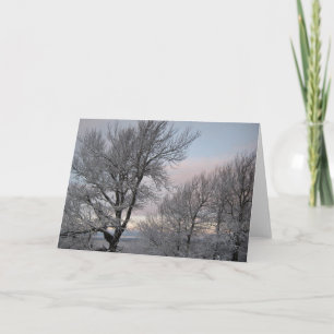Snow Covered Branches Card