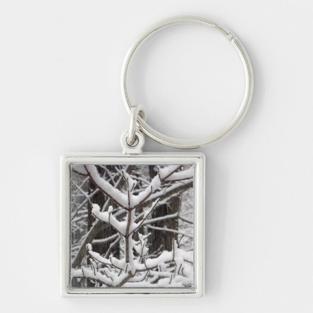 Snow-covered Branches Key Ring (Front)