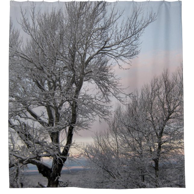 Snow Covered Branches Shower Curtain (Front)