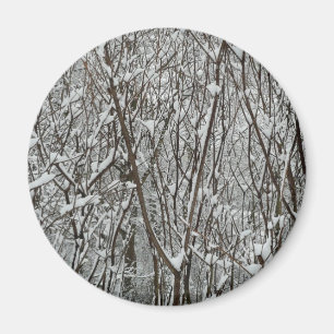 Snow Covered Branches Winter Abstract Magnet