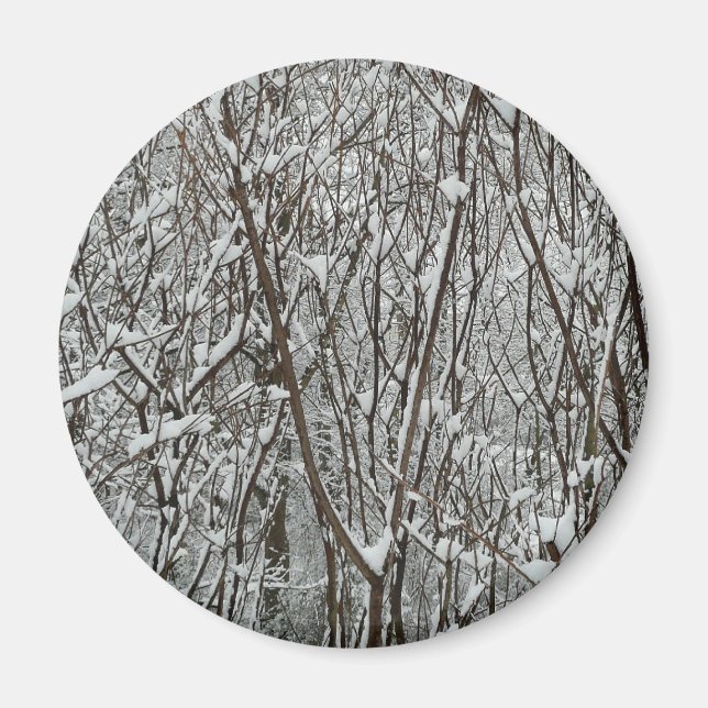 Snow Covered Branches Winter Abstract Magnet (Front)