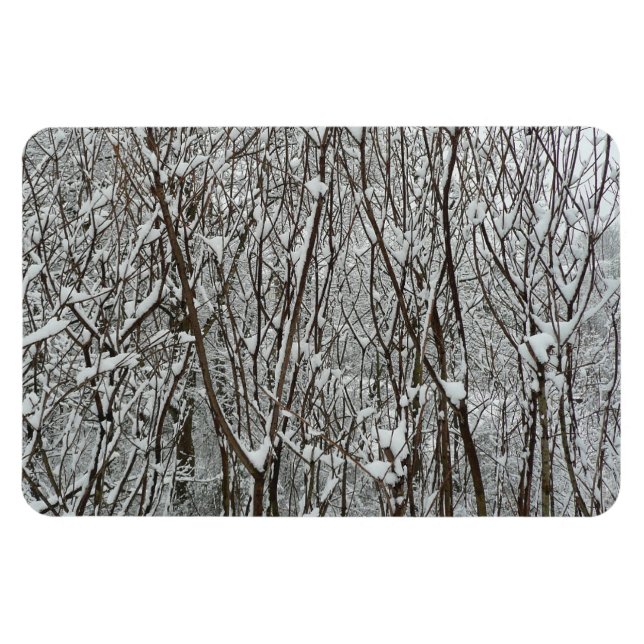 Snow Covered Branches Winter Abstract Magnet (Horizontal)