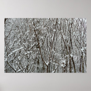 Snow Covered Branches Winter Abstract Photography Poster