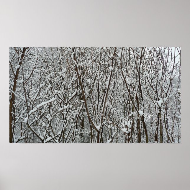 Snow Covered Branches Winter Abstract Poster (Front)