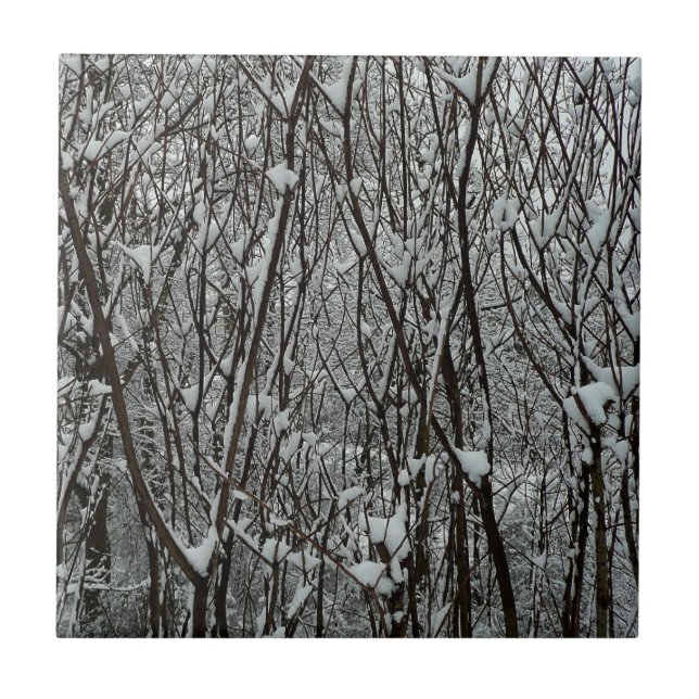 Snow Covered Branches Winter Abstract Tile (Front)